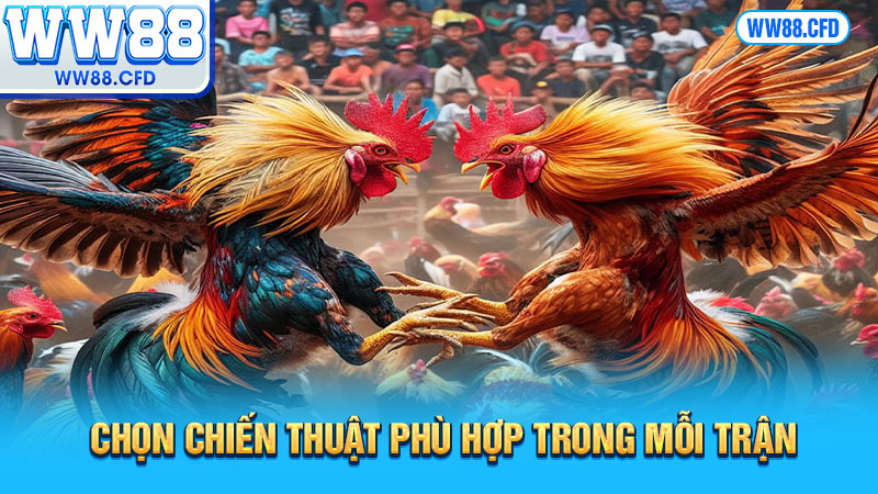 Chọn chiến thuật phù hợp trong mỗi trận