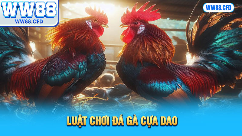 Luật chơi đá gà cựa dao