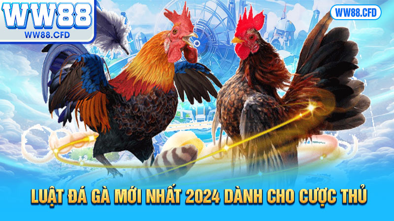 Luật đá gà mới nhất 2024 dành cho cược thủ