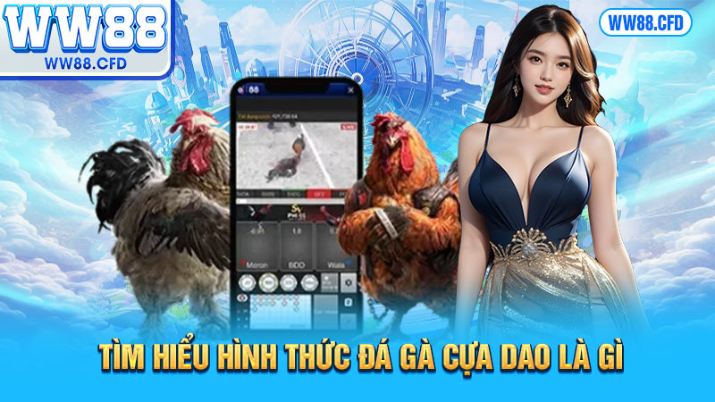 Tìm hiểu hình thức đá gà cựa dao là gì